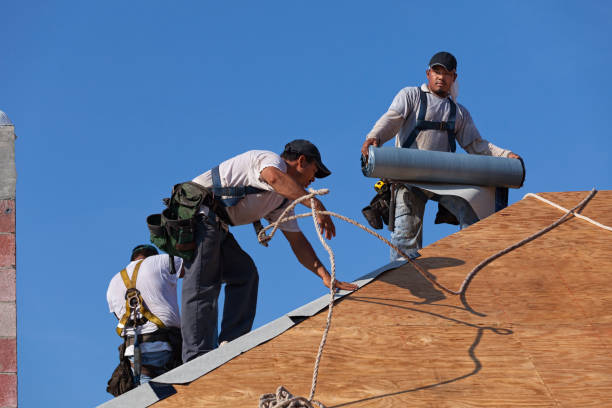 Best Shingle Roofing Installation  in Richwood, OH