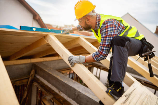 Roof Gutter Cleaning in Richwood, OH
