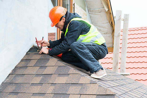 Best Roof Gutter Cleaning  in Richwood, OH