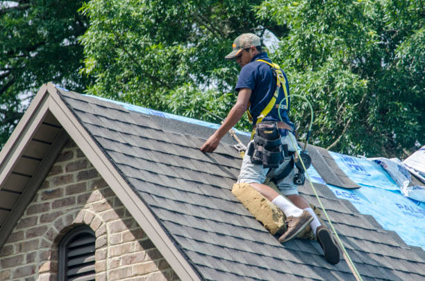 Best Storm Damage Roof Repair  in Richwood, OH